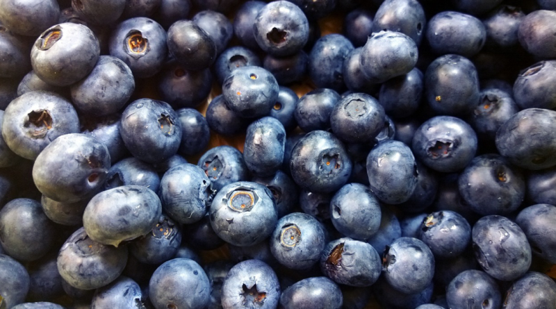 blåbær, gode egenskaber ved blåbær, derfor skal du spise masser af blå bær, blåbær imod kræft, blåbær imod slidgigt, frugter imod slidgigt, blåbær bedre hukommelse